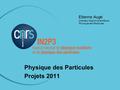 Journée Projets, 23 novembre 2010 Etienne Augé Directeur Adjoint Scientifique Physique des Particules Physique des Particules Projets 2011.