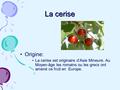 La cerise Origine: La cerise est originaire d’Asie Mineure. Au Moyen-âge les romains ou les grecs ont amené ce fruit en Europe.