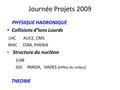 Journée Projets 2009 PHYSIQUE HADRONIQUE Collisions d’Ions Lourds LHC ALICE, CMS RHIC STAR, PHENIX Structure du nucléon JLAB GSI PANDA, HADES ( effets.