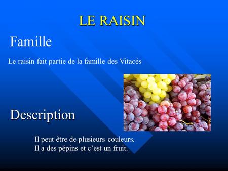 LE RAISIN Famille Description Le raisin fait partie de la famille des Vitacés Il peut être de plusieurs couleurs. Il a des pépins et c’est un fruit.