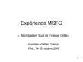 1 Expérience MSFG « Montpellier Sud de France Grille» Journées «Grilles France» IPNL, 14-15 octobre 2009.