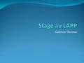 Gabrion Thomas 1. Sommaire I Présentation du LAPP - LAPTH II Contexte du stage III Réalisation du stage IV Bilan 2.