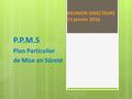 REUNION DIRECTEURS 15 janvier 2016 P.P.M.S Plan Particulier de Mise en Sûreté.