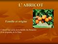 Famille et origine L’abricot fait partie de la famille des Rosacées. Il est originaire de la Chine L’ ABRICOT.