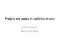Projets en cours et collaborations Christel Bouet Jean Louis Rajot.