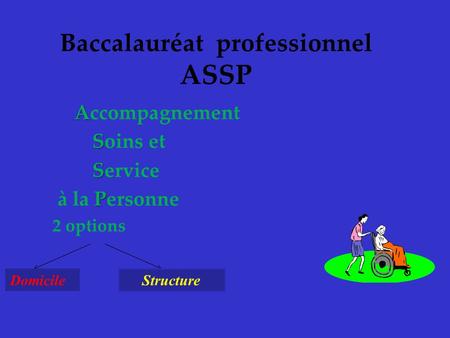 Baccalauréat professionnel ASSP A Accompagnement S Soins et S Service P à la Personne 2 options Domicile Structure.