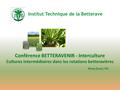 Institut Technique de la Betterave Conférence BETTERAVENIR - Interculture Cultures intermédiaires dans les rotations betteravières Rémy Duval, ITB.