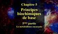Chapitre 5 Principes biochimiques de base 5 ème partie Le métabolisme eucaryote.