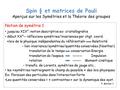 Spin ½ et matrices de Pauli Aperçus sur les Symétries et la Théorie des groupes Notion de symétrie 1 jusqu’au XIX° : notion descriptive ex: cristallograhie.