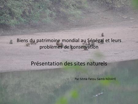 Biens du patrimoine mondial au Sénégal et leurs problèmes de conservation Présentation des sites naturels Par Mme Fatou Samb NDIAYE.