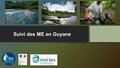 Suivi des ME en Guyane. Réseau Hydrographique - Réseau hydrographique de plus de 192 000 km (BD cartage 2010) 840 masses d’eau cours d’eau 2 masses d’eau.