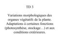 TD 3 Variations morphologiques des organes végétatifs de la plante