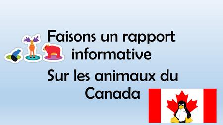 Faisons un rapport informative Sur les animaux du Canada.