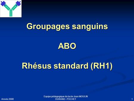 Groupages sanguins ABO Rhésus standard (RH1)