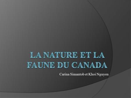 Carina Simantob et Khoi Nguyen. Canada  Le Canada est le plus grand pays par sa superficie d'Amérique du Nord (et la deuxième dans le monde après la.
