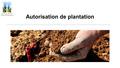 Autorisation de plantation. Durée du dispositif Le régime d'autorisations de plantations de vigne s'applique du 1 er janvier 2016 au 31 décembre 2030.