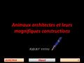 Animaux architectes et leurs magnifiques constructions 25/05/201625/05/201611HenriHenri.
