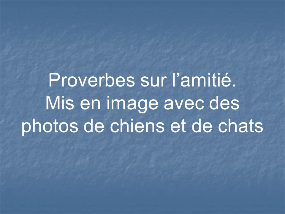 Proverbes Sur L Amitie Ppt Video Online Telecharger