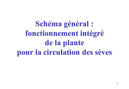 Schéma général : fonctionnement intégré de la plante pour la circulation des sèves.