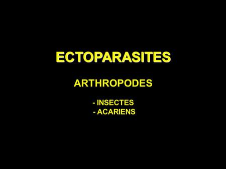 ECTOPARASITES ARTHROPODES - INSECTES - ACARIENS. INSECTES (3 paires de pattes)