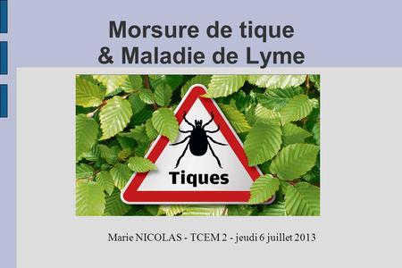 Morsure de tique & Maladie de Lyme Marie NICOLAS - TCEM 2 - jeudi 6 juillet 2013.