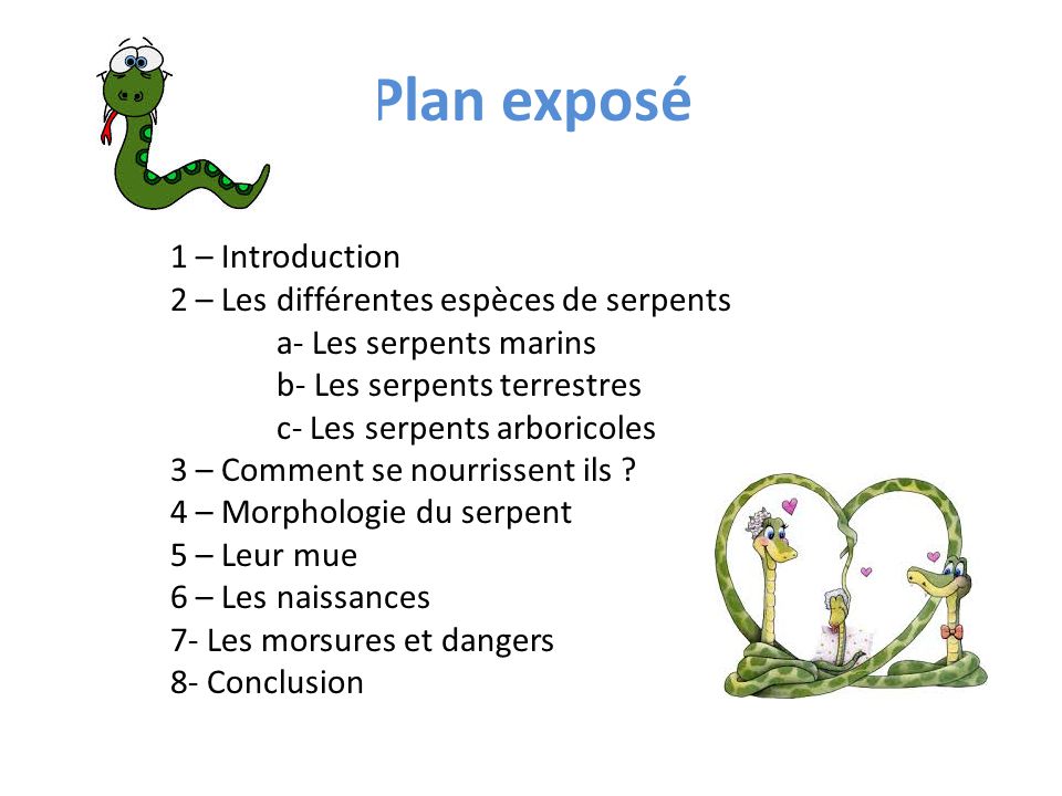 Plan Expose 1 Introduction 2 Les Differentes Especes De Serpents Ppt Video Online Telecharger