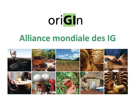 Alliance mondiale des IG. oriGIn: Union est la force!  oriGIn: Alliance mondiale des IG  Créée en 2003 en tant qu'organisation à but non lucratif 