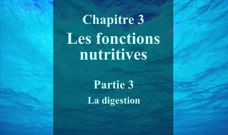 Chapitre 3 Les fonctions nutritives Partie 3 La digestion.