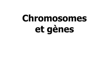 Chromosomes et gènes.