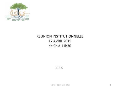 REUNION INSTITUTIONNELLE 17 AVRIL 2015 de 9h à 11h30 ADES ADES - CS 17 avril 20151.