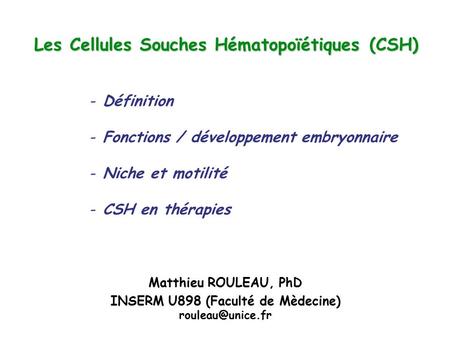 Les Cellules Souches Hématopoïétiques (CSH)