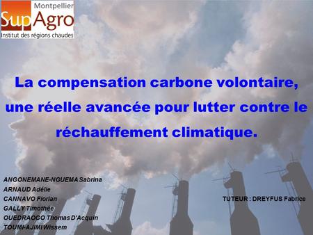 La compensation carbone volontaire, une réelle avancée pour lutter contre le réchauffement climatique. ANGONEMANE-NGUEMA Sabrina ARNAUD Adélie CANNAVO.