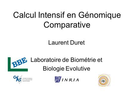 Calcul Intensif en Génomique Comparative Laurent Duret Laboratoire de Biométrie et Biologie Evolutive.
