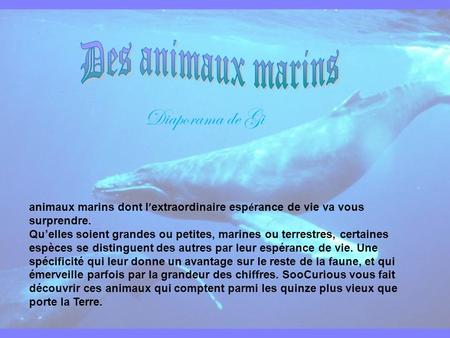 animaux marins dont l ’ extraordinaire esp é rance de vie va vous surprendre. Qu’elles soient grandes ou petites, marines ou terrestres, certaines espèces.