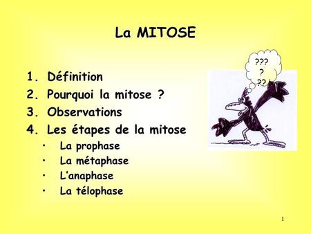 1 La MITOSE 1.Définition 2.Pourquoi la mitose ? 3.Observations 4.Les étapes de la mitose La prophaseLa prophase La métaphaseLa métaphase L’anaphaseL’anaphase.