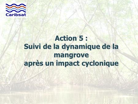 Action 5 Suivi de la dynamique de la mangrove après un impact cyclonique Béatrice de Gaulejac, IMPACT-Mer – 03/02/2010 1 Action 5 : Suivi de la dynamique.