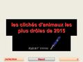 les clichés d'animaux les plus drôles de 2015 24/06/201624/06/201611HenriHenri.