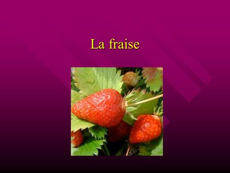La fraise. Famille Rosacée: sa famille est très grande et il y a beaucoup d’arbres fruitiers. La framboise fait partie de la même famille que la fraise.
