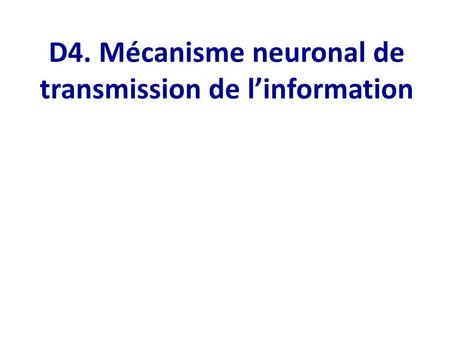 D4. Mécanisme neuronal de transmission de l’information