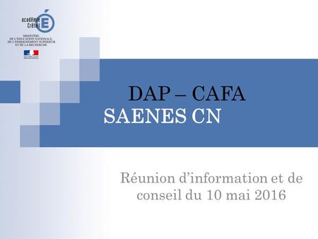 DAP – CAFA SAENES CN Réunion d’information et de conseil du 10 mai 2016.