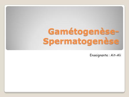 Gamétogenèse-Spermatogenèse