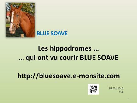Les hippodromes … … qui ont vu courir BLUE SOAVE  BLUE SOAVE NP Mai 2016 v16 1.