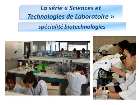 La série « Sciences et Technologies de Laboratoire » spécialité biotechnologies.