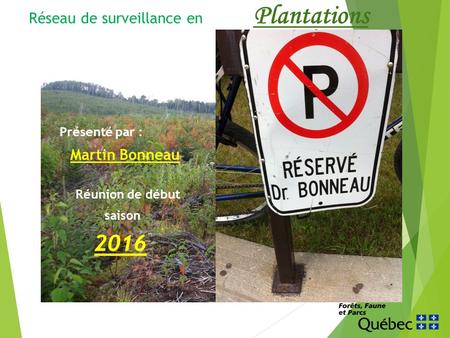 Réseau de surveillance en Plantations Présenté par : Martin Bonneau Réunion de début saison 2016.