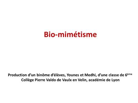 Bio-mimétisme Production d’un binôme d’élèves, Younes et Medhi, d’une classe de 6 ème Collège Pierre Valdo de Vaulx en Velin, académie de Lyon.