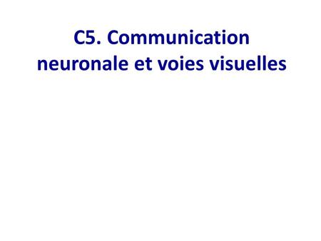 C5. Communication neuronale et voies visuelles