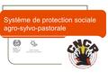 Système de protection sociale agro-sylvo-pastorale.