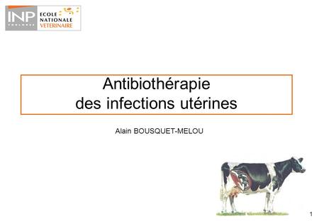 1 Antibiothérapie des infections utérines Alain BOUSQUET-MELOU.