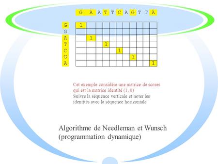 Algorithme de Needleman et Wunsch (programmation dynamique)