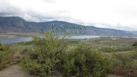 Les biomes Powerpoint 1.1.